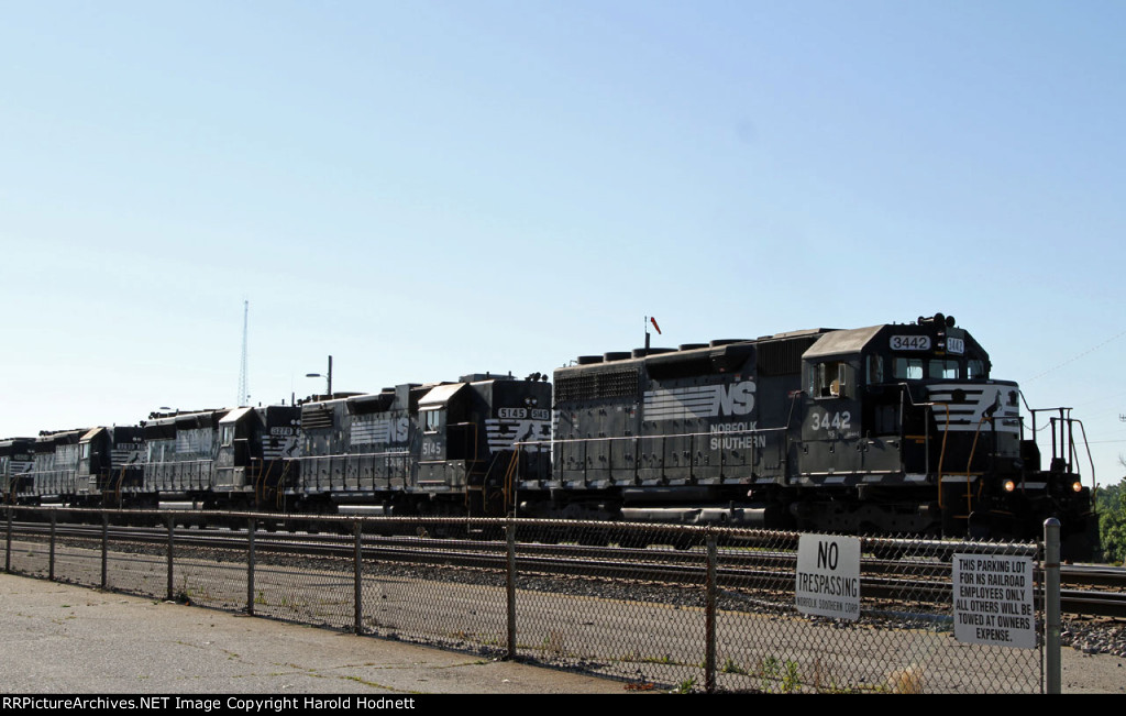 NS 3442 leads an all-EMD lashup on train P84
